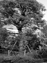 辽宁注册公司